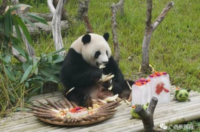 娱乐吃瓜酱南宁动物园